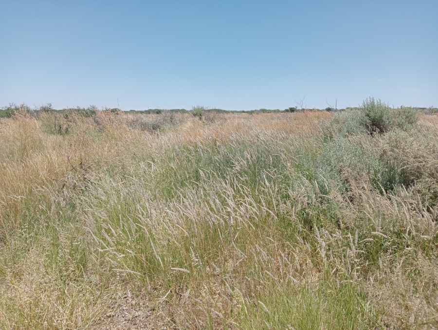 Commercial Property for Sale in Barkly West Northern Cape